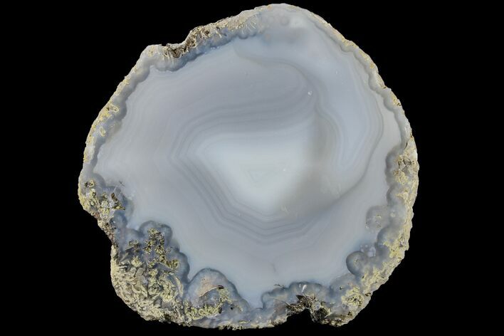 Las Choyas Coconut Geode Half with Banded Blue Agate - Mexico #165541